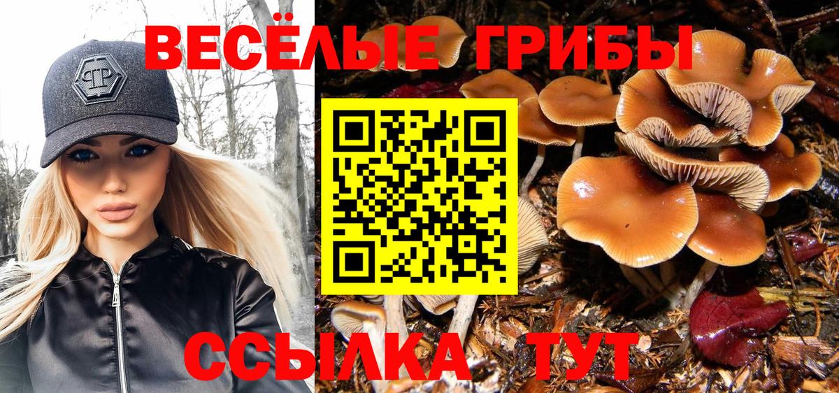 Псилоцибиновые грибы GOLDEN TEACHER Светлоград