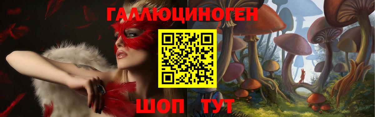 Галлюциногенные грибы Psilocybe  Вход с VPN  Светлоград 